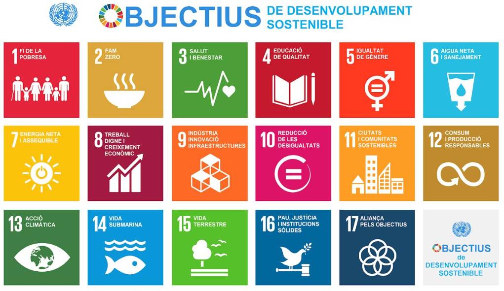 Inici Del Treball De S Ntesi Activitats Escolars Institut